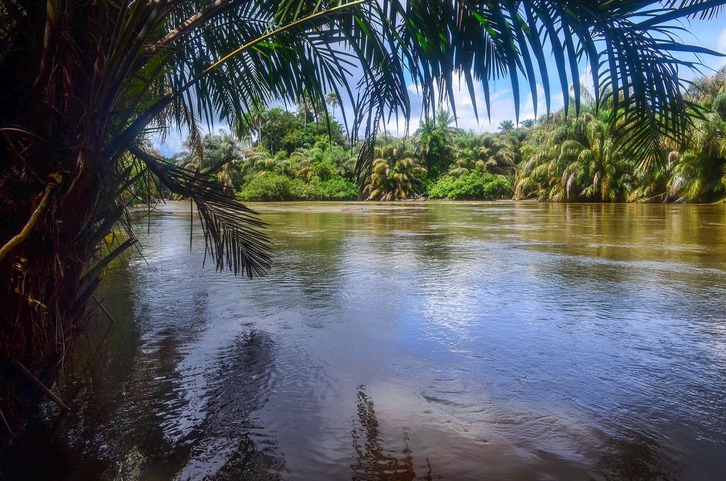 Tiwai Island Image Presently Not Available